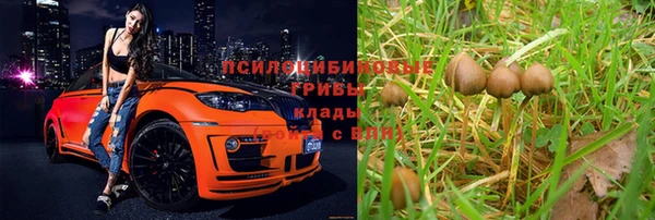 марихуана Пролетарск