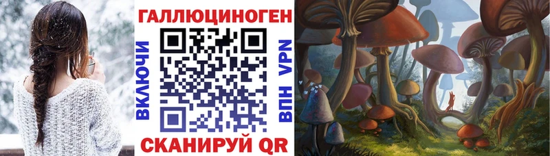 kraken маркетплейс  Болохово  Псилоцибиновые грибы MAGIC MUSHROOMS 