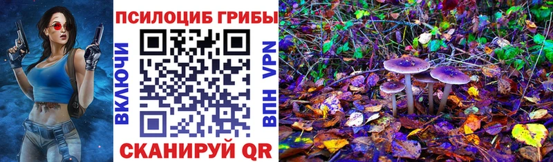 Псилоцибиновые грибы мицелий Болохово